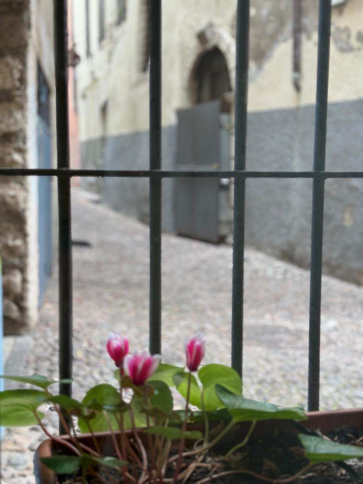 Duomo Nest Entire Apartment Trento Eksteriør billede